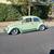 Custom bug 1960 1 thumbnail