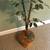 Artificial 6'  Ficas Tree 3 thumbnail