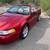 2000 Ford Mustang GT Convertible 1 thumbnail