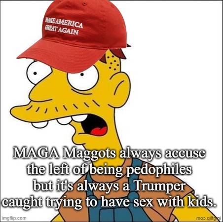 MAGA Maggots Always Accuse The Left Of What They Are Guilty Of 1