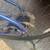 Marin Fairfax 19 inch frame, 21 speed with HyperDrive 6 thumbnail