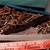 Assorted OLD Nuts, Bolts, Screws Assortment - MAKE OFFER 6 thumbnail