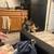 Rehoming fee $200 1 thumbnail