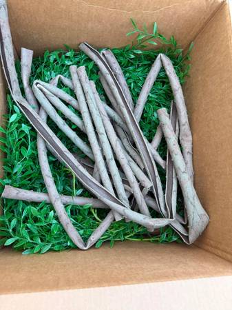 Artificial Vines for ceiling party decorations 1
