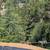 EastBayProperty  -  Sleepy Hollow Orinda 8 thumbnail