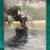 TRAINING DVDs 12 thumbnail
