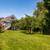 New Price - Exceptional Oak Bay Opportunity 2 thumbnail