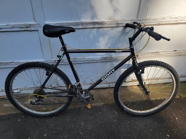 Giant mountain bike 1