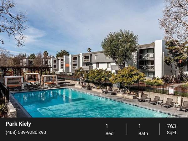 $2,805 / 1br - 763ft2 - Exceptional Living: Open Floor Plans + Resort-Style Pool (san jose west)63938630562691120