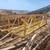 Bidwell Work Bridge Platform 24-inch 100+ ft Concrete Deck # 4476 10 thumbnail