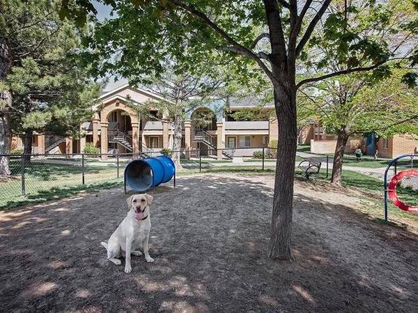 $1,099 / 1br - 585ft2 - Outdoor Lounge with Firepit, Resort-Inspired Pool & Spa63161471343617122
