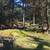 Stephenson's Point Executive Furnished 1bed/den Dec 01-Apr1 $1980. 14 thumbnail
