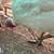 Broad Breastfed Heritage Turkey 1 thumbnail