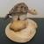 Pair of vintage handcrafted bobble head seashell turtles - Florida 3 thumbnail