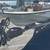 Boston Whaler 15’3” Sport 20 thumbnail
