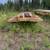 Holden 35 ton lowboy 1 thumbnail