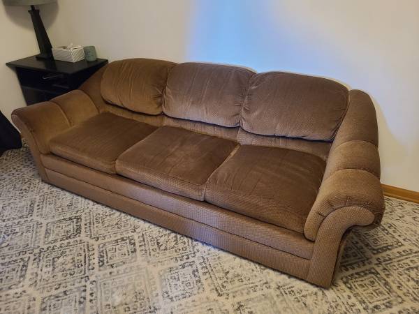 Free Pull Out Couch 1