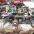 Heavy Duty Truck Parts 14 thumbnail
