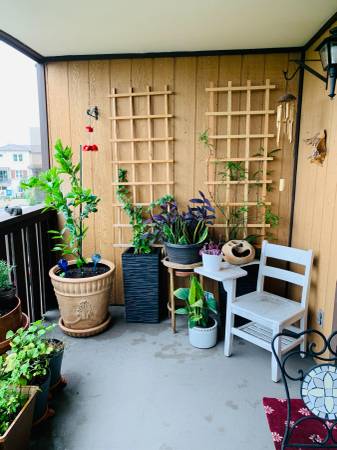 $1,350 / 1br - 144ft2 - For Rent: Fully-Furnished Bedroom in 2-Bedroom Condo – $1,350 (san leandro)63824143371649122