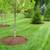 Yard service, Pruning bushes, pressure washing and much more!!! 1 thumbnail