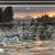 “The Long Run-Wolves"  by acclaimed artist  Rod Frederick 7 thumbnail