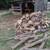 Firewood 1 thumbnail