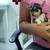 Chihuahua 1 thumbnail