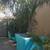 12 Foot Tall Rare Bolivian Mountain Coconut Palm Tree Huge Stucco Pot 2 thumbnail