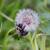Affordable Animal Photography 3 thumbnail
