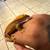 Crested Geckos 6 thumbnail