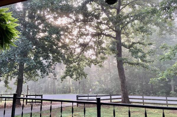 $725 Quiet, Private Camper/RV site - long term all hookups and utilities (Tryon/Green Creek)64215362496387124