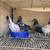 Pigeons 2 thumbnail