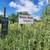 2BR/1BA Apartment — $895 Base Rent — Available Now 19 thumbnail