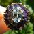 Natural Blue Topaz and 13 Amethysts. Size 8 Custom made ring 2 thumbnail