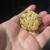 Leopard Tortoise Hatchlings 6 thumbnail