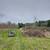 Overgrown acreage, Brush Cutting - Selective clearing 5 thumbnail