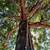 J&E Tree Services LLC 1 thumbnail