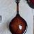 Breedlove Olympic Mandolin 2010s - Sunburst 3 thumbnail