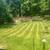 TNM trees and landscaping LLC 1 thumbnail