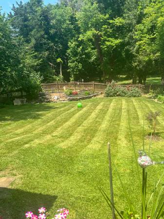 TNM trees and landscaping LLC 1