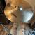 3 Ludwig Professional Drummer Stands & Zildjian 18" Crash/Ride Cymbal 4 thumbnail