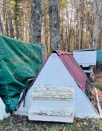A frame chicken coop 1