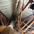 Spray foam insulation 3 thumbnail