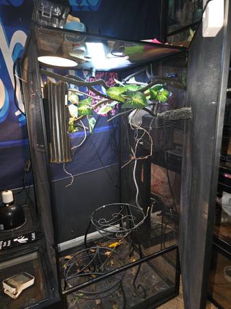 Chameleon tank and accessories 1