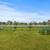 2BD 1BA, 1st Floor, Upgraded Features 7 thumbnail