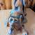 Big Sky Carvers Wood Purdy Dog 11 thumbnail