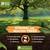 PROFESSIONAL /REMOVAL/ TRIMMING/PLANTING/TREE SERVICES 25% DISCOUNTS 11 thumbnail