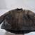 Harley riding gear,Jackets,Chaps,vests 1 thumbnail