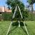 Extension Ladder for Sale 1 thumbnail