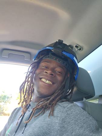 Tree Pruning/ Removal 1